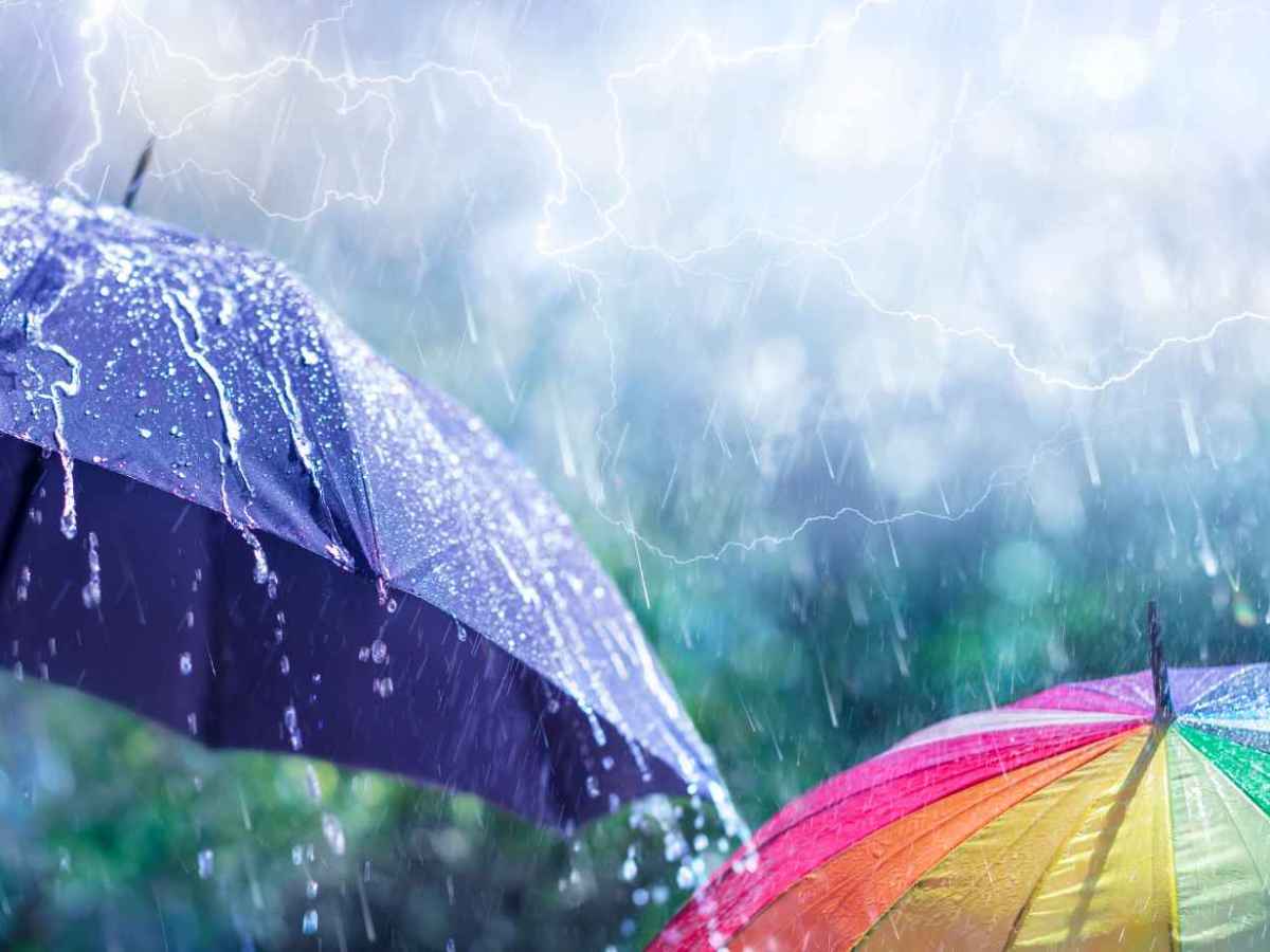 This Week It Has Mostly Been&nbsp;Raining